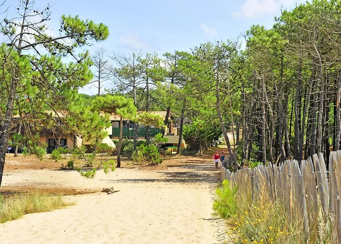 Vtf La Forestiere 3*