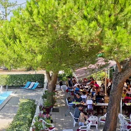 Rezort Vtf La Forestiere 3*