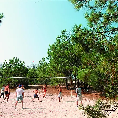 Vtf La Forestiere Resort